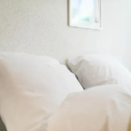 Haus Baergbach By Premium * زيرمات