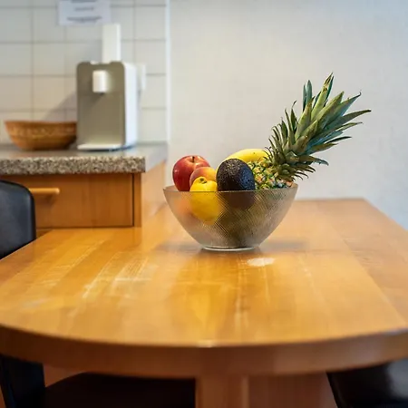 Haus Baergbach By Premium * زيرمات