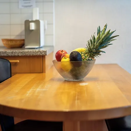 Haus Baergbach By Premium شقة زيرمات